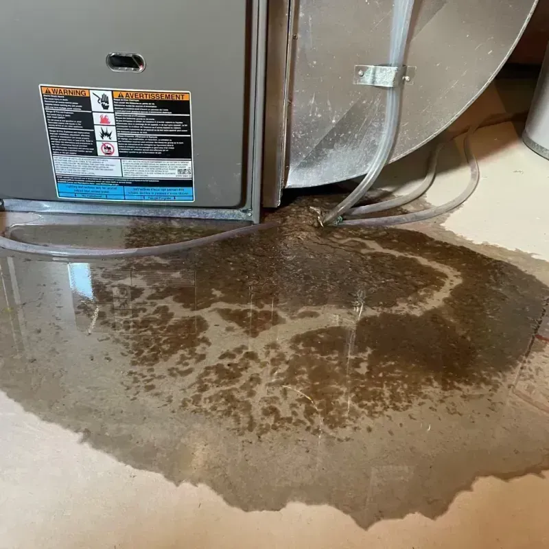 Appliance Leak Cleanup in Springfield, KY